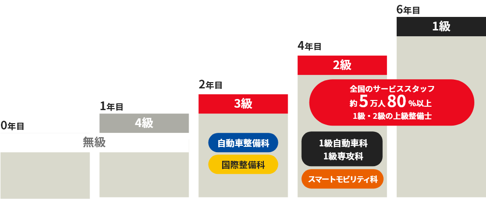トヨタ販売店入社から「トヨタサービス技術検定」取得までのSTEP