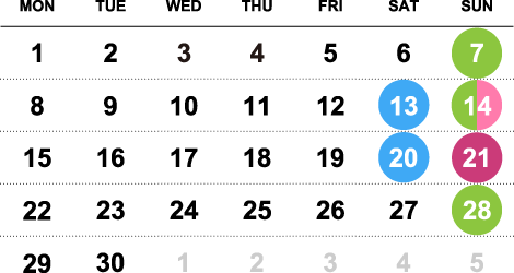 6月スケジュール
