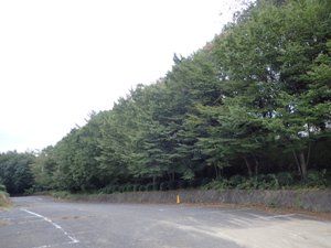 2016.10.13 造成開始②