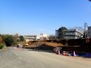 2016.11.18 順調に整ってきています②