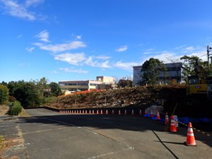 2016.11.9 樹木伐採ほぼ完了!②